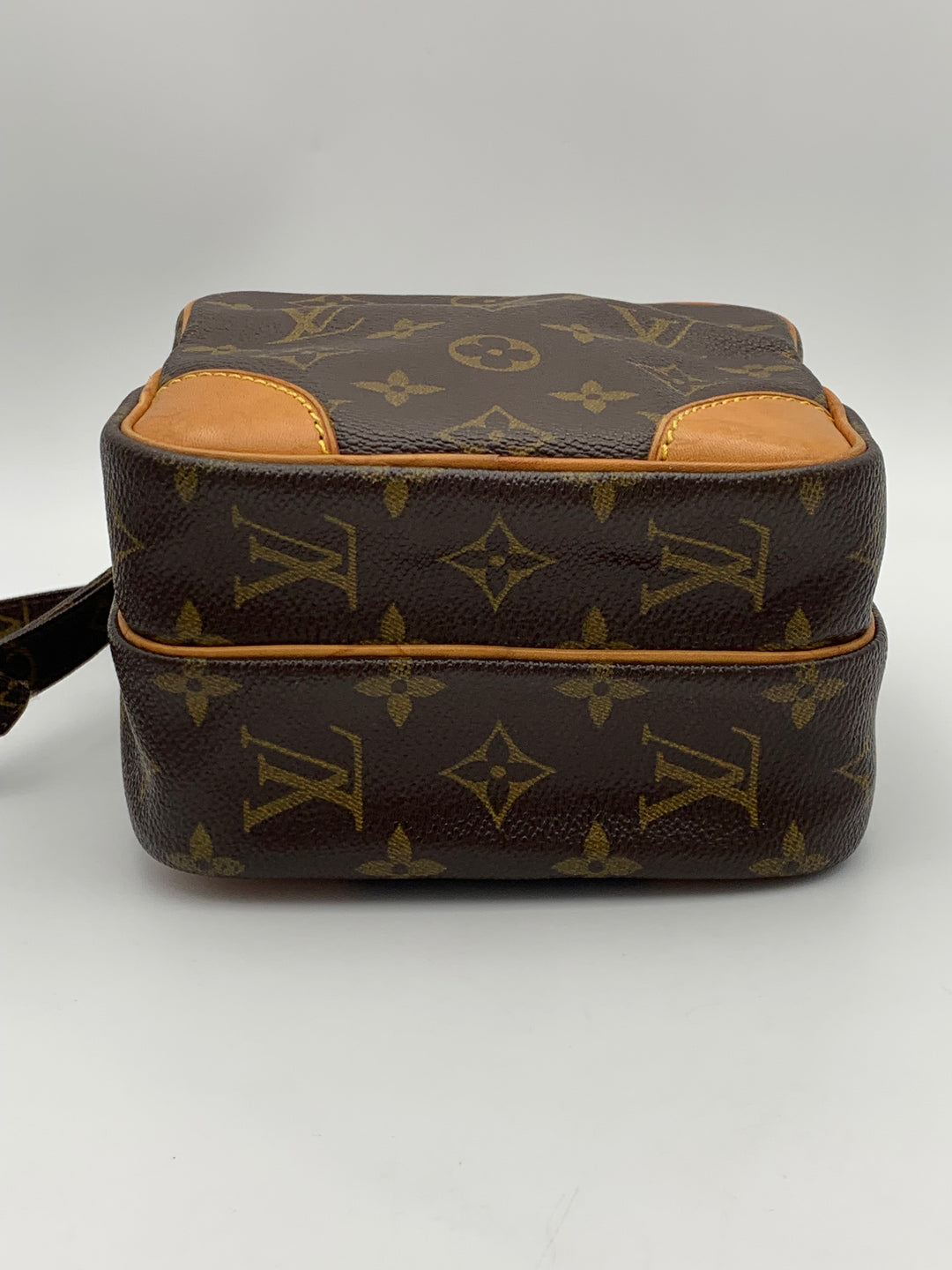 Louis Vuitton Monogram Amazon PM