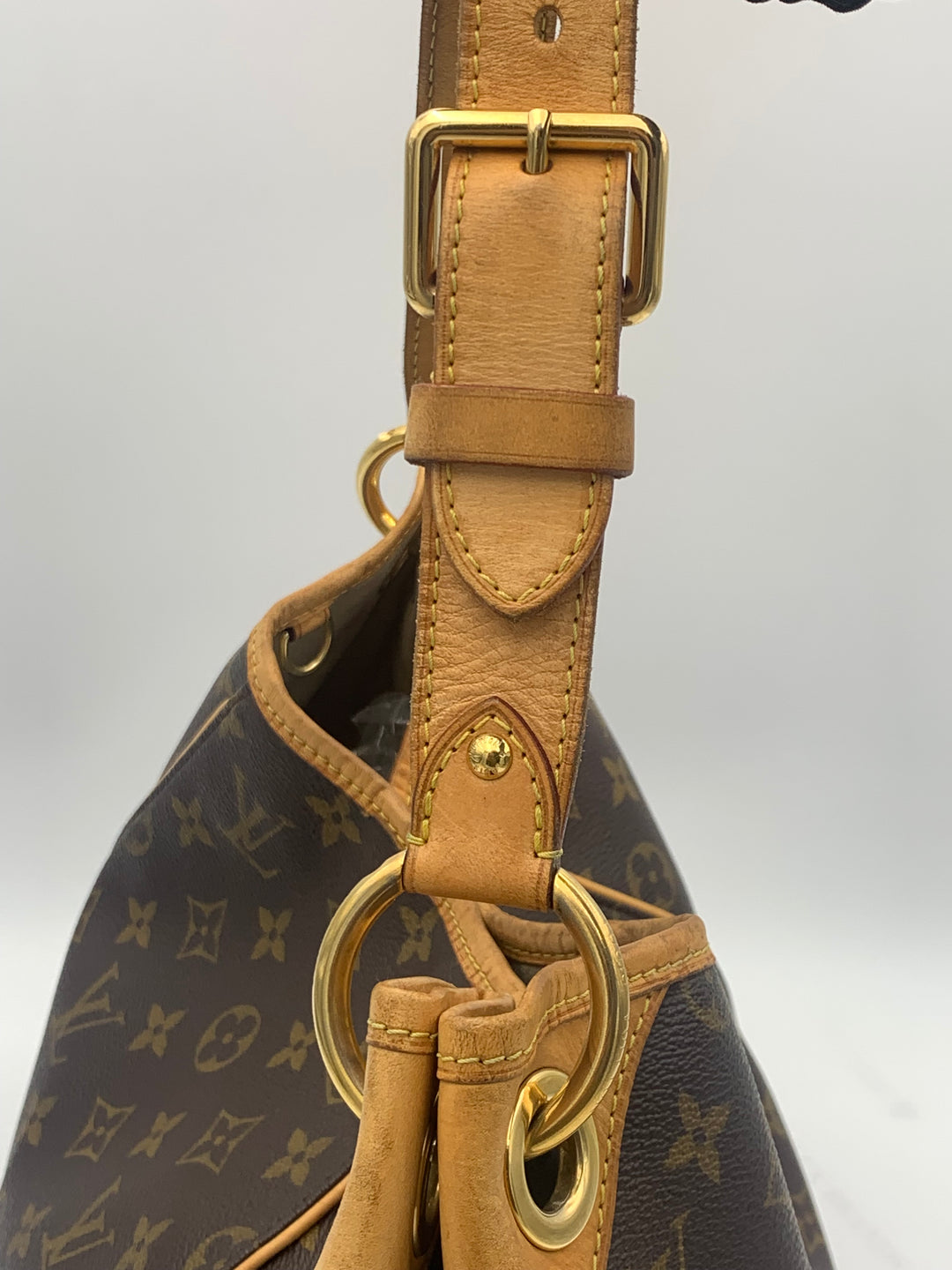 Louis Vuitton Monogram Galleria