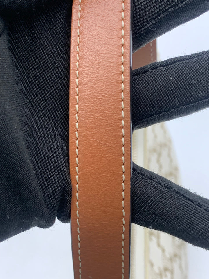 Celine Ava Bag in Triomphe Canvas
