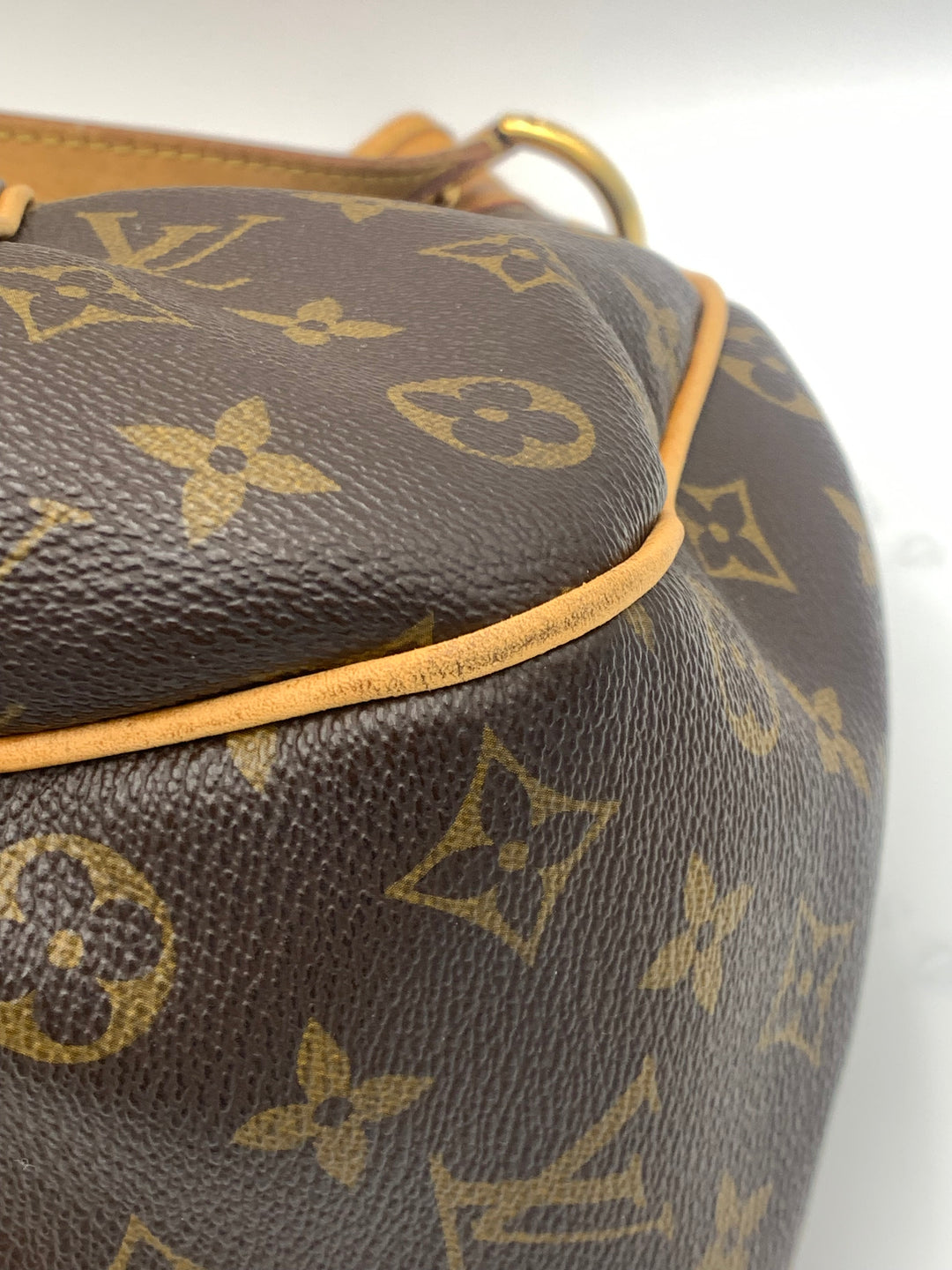 Louis Vuitton Monogram Galleria