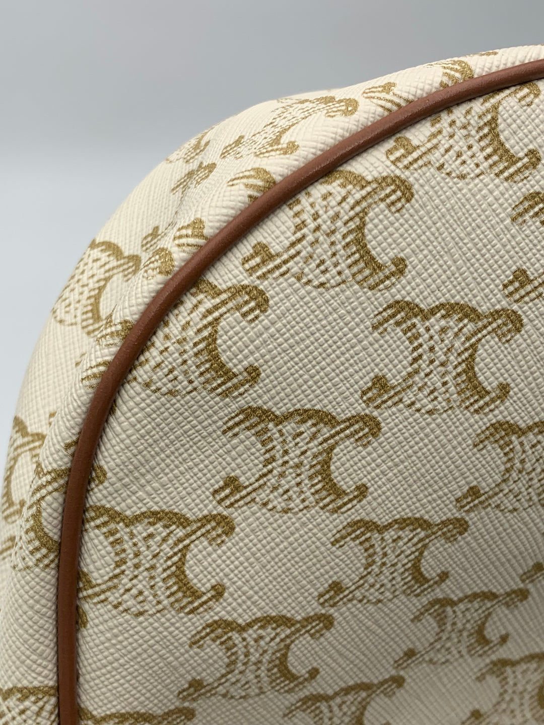 Celine Ava Bag in Triomphe Canvas