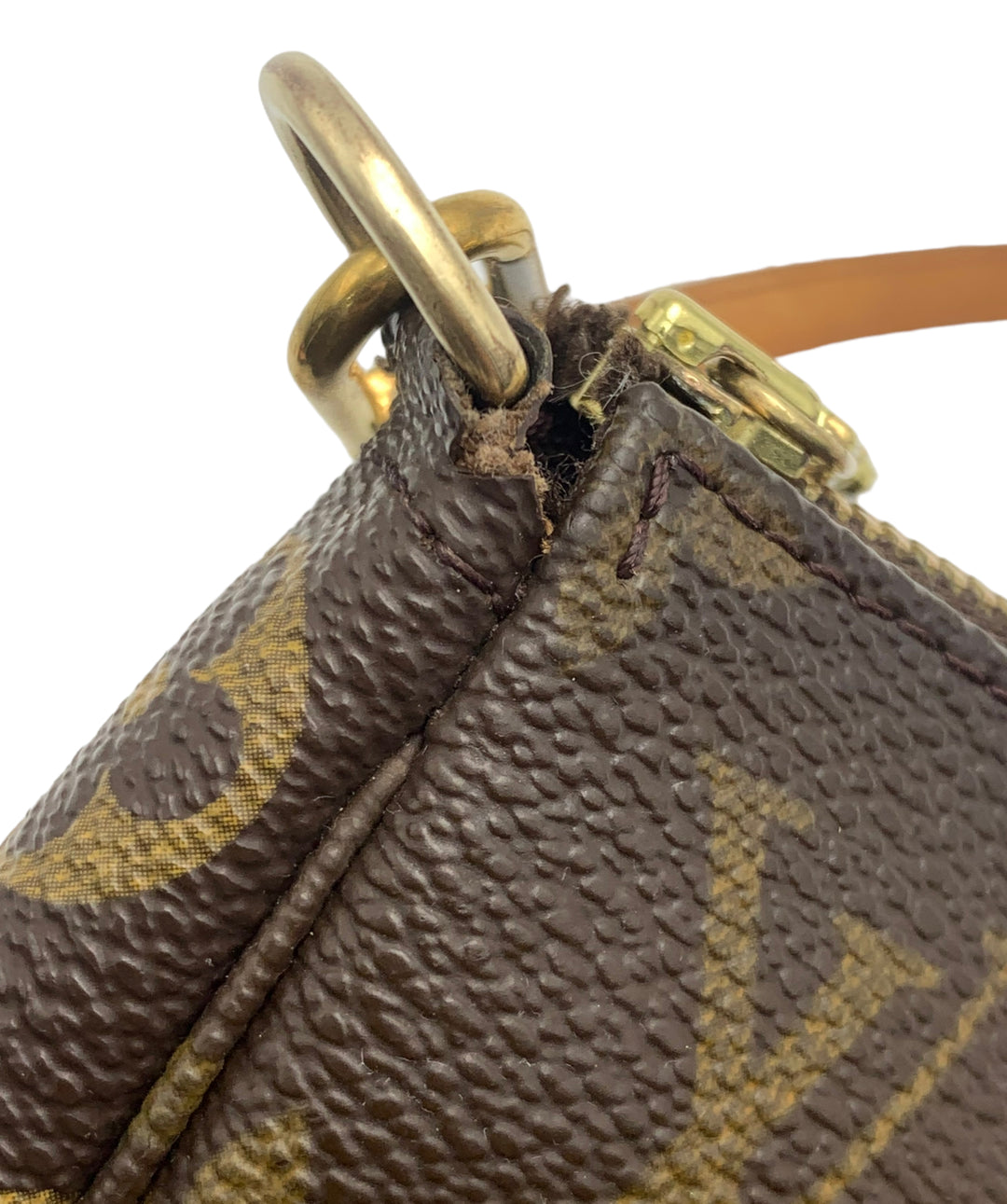 Louis Vuitton Monogram Pochette Accessoires