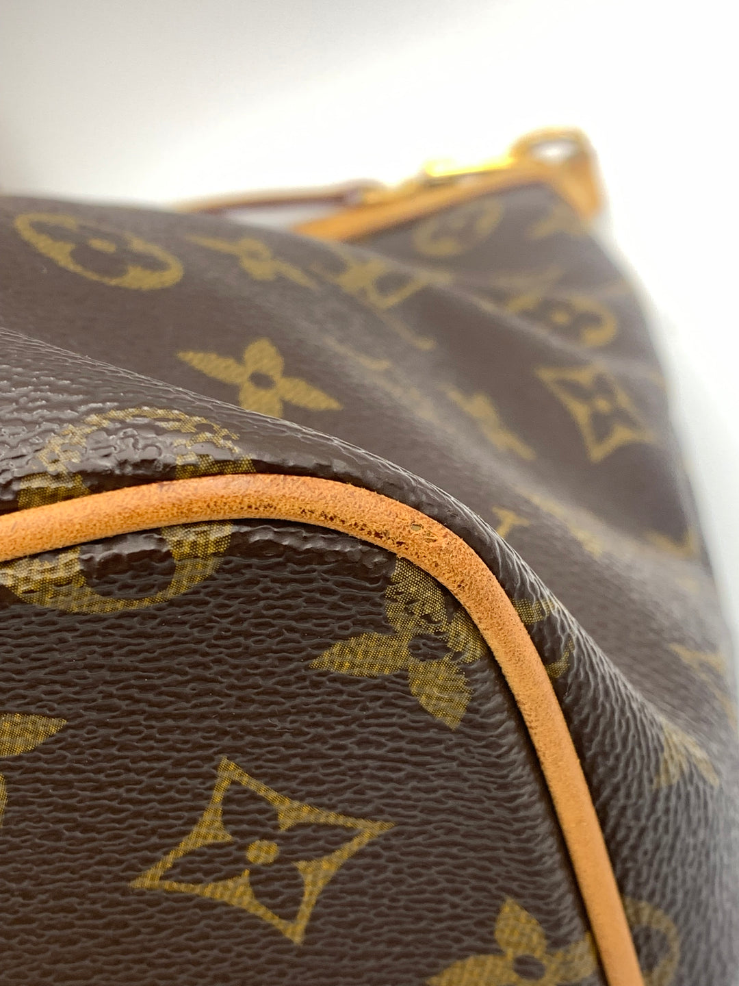 Louis Vuitton Monogram Palermo PM