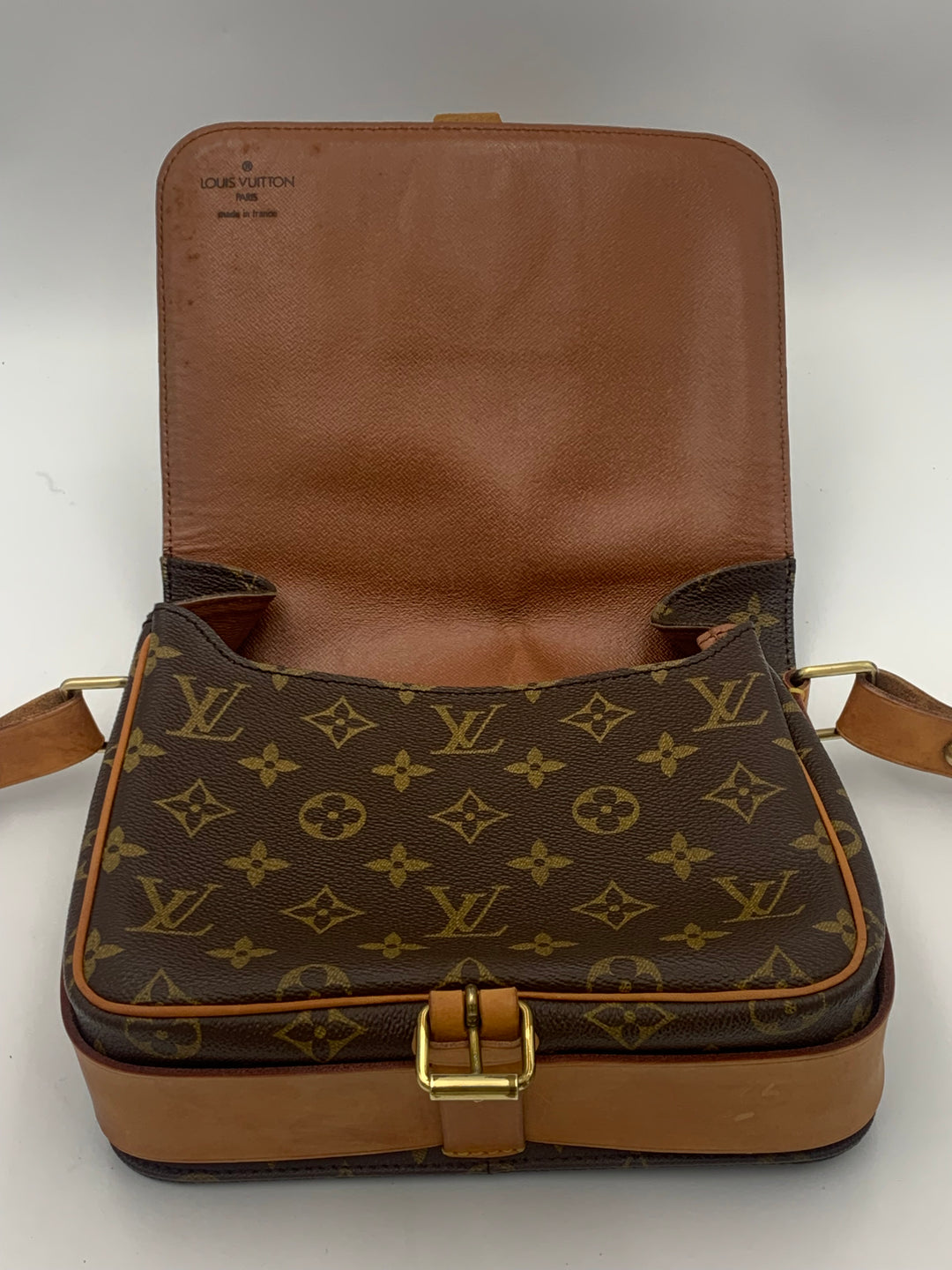 Louis Vuitton Monogram Cartouchiere