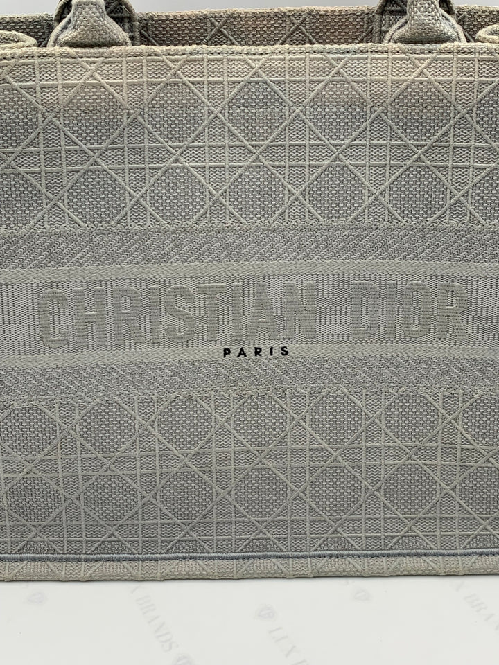 Dior Grey Canvas Medium Book Tote Bag