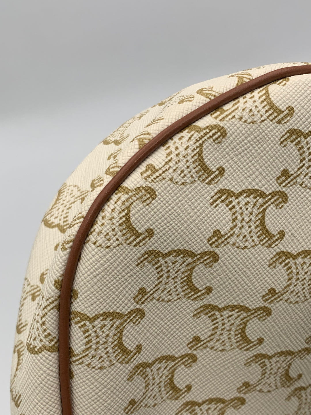 Celine Ava Bag in Triomphe Canvas