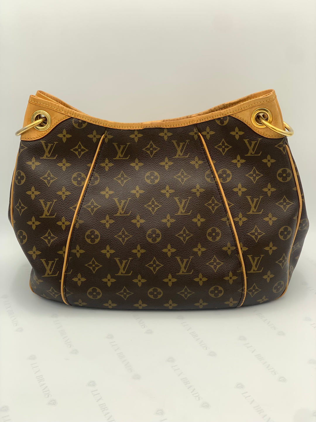 Louis Vuitton Monogram Galleria