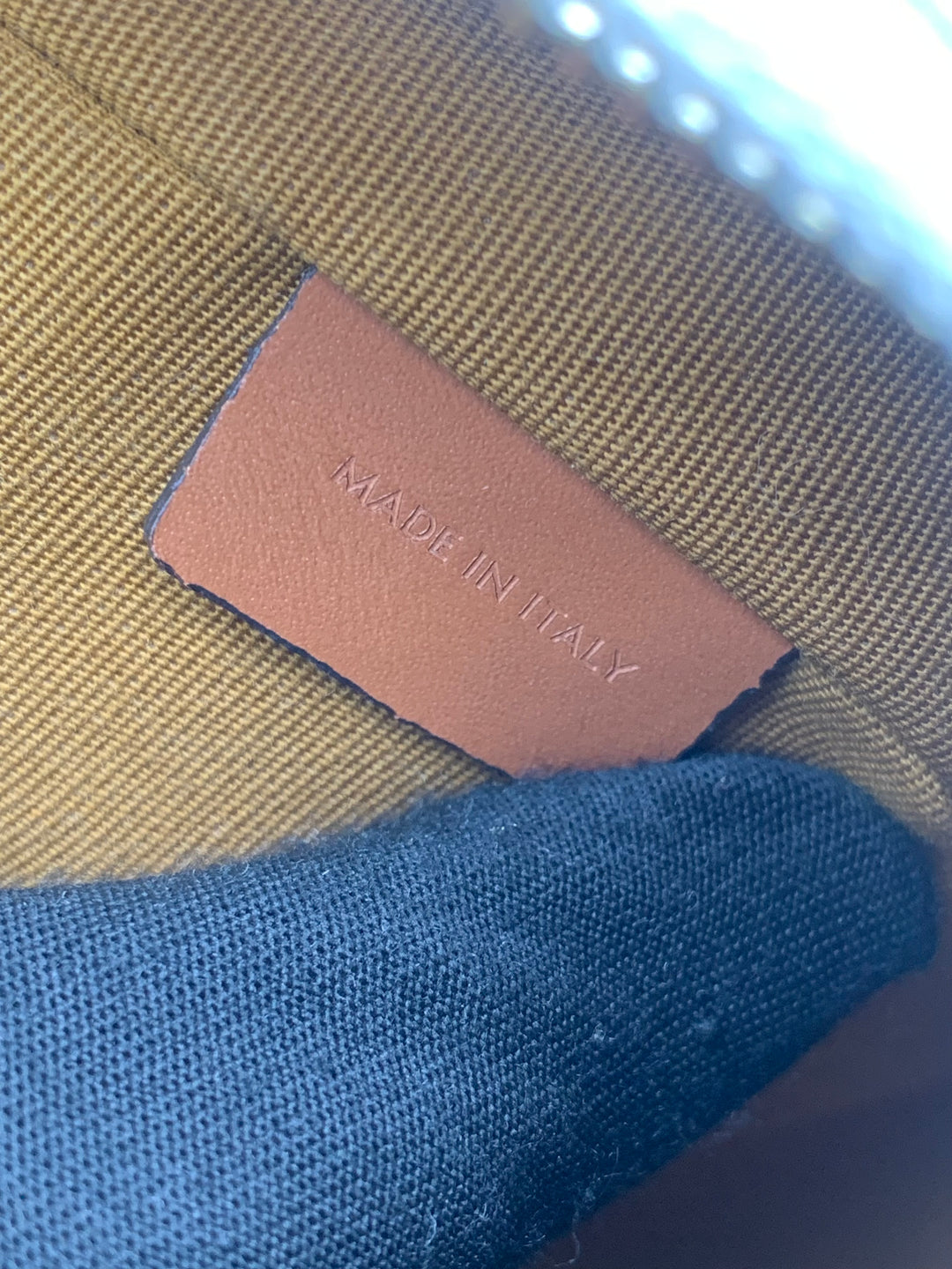 Celine Ava Bag in Triomphe Canvas