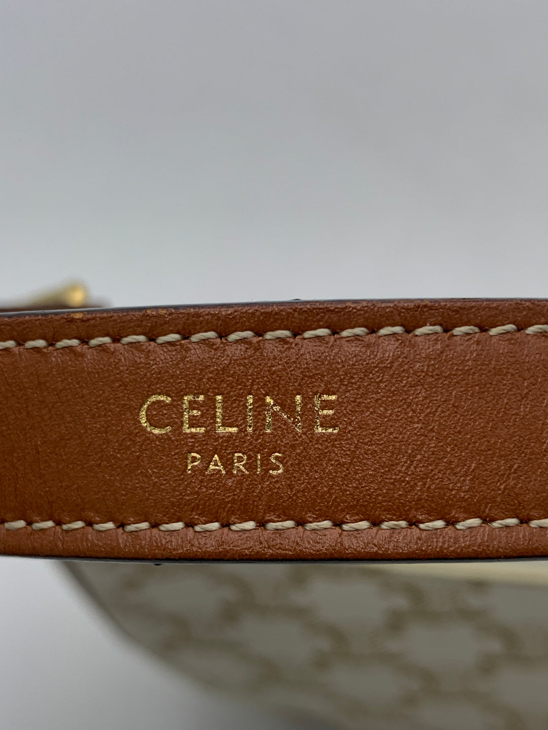 Celine Ava Bag in Triomphe Canvas