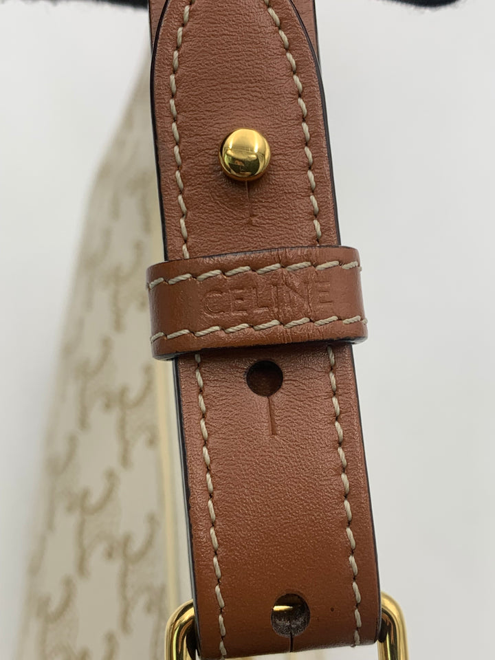 Celine Ava Bag in Triomphe Canvas