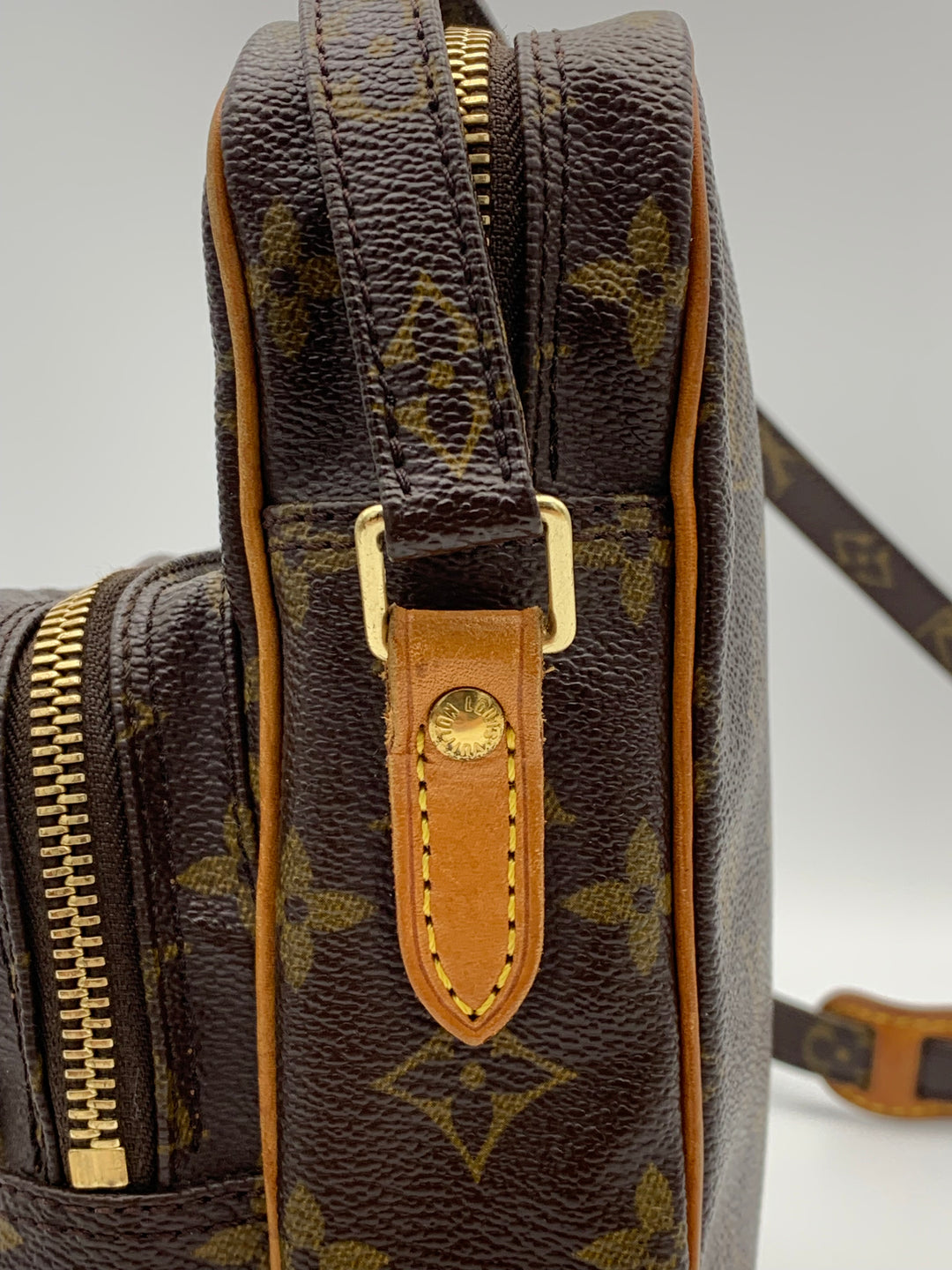 Louis Vuitton Monogram Amazon PM