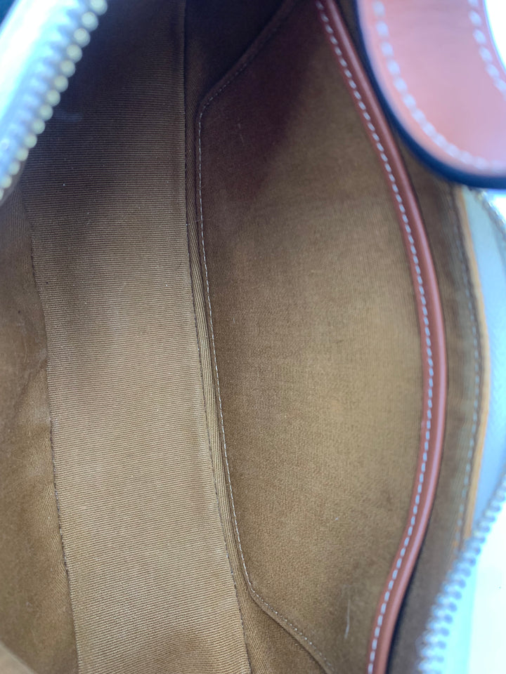 Celine Ava Bag in Triomphe Canvas