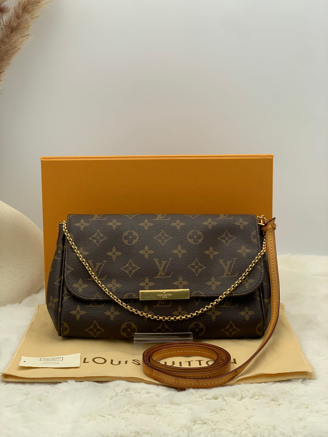 Louis Vuitton Monogram Favorite MM