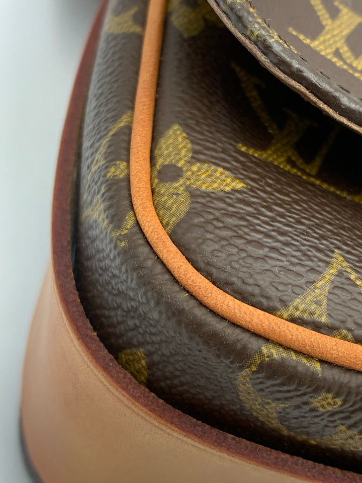 Louis Vuitton Monogram Cartouchiere