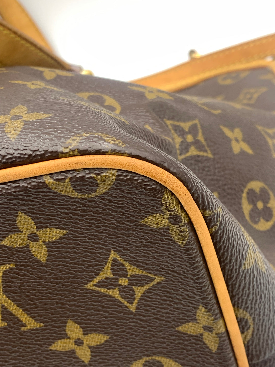 Louis Vuitton Monogram Palermo PM