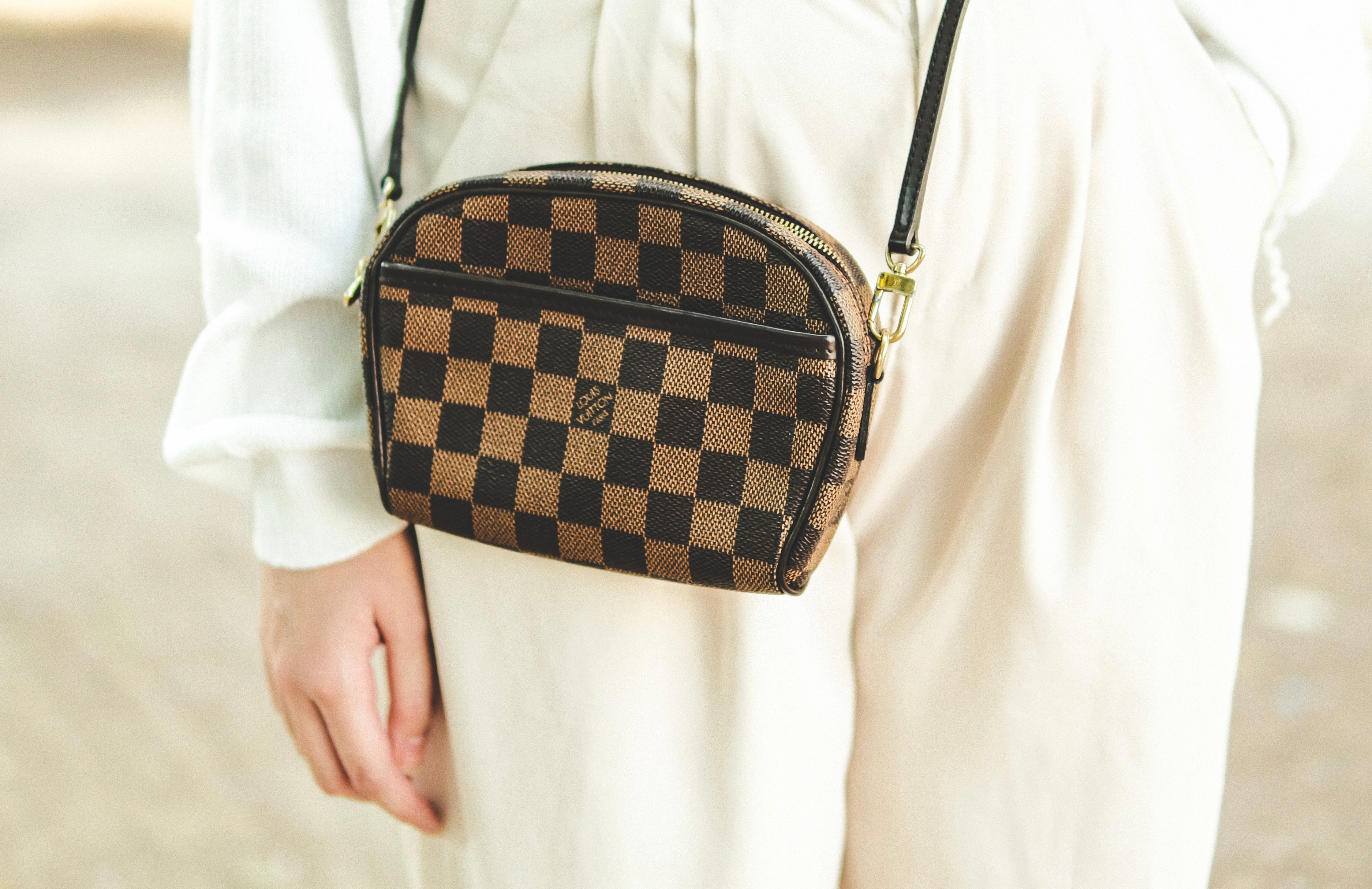 Louis Vuitton Damier Ebene Papillon 30 – Lux Brands UAE