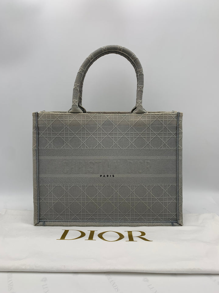 Dior Grey Canvas Medium Book Tote Bag