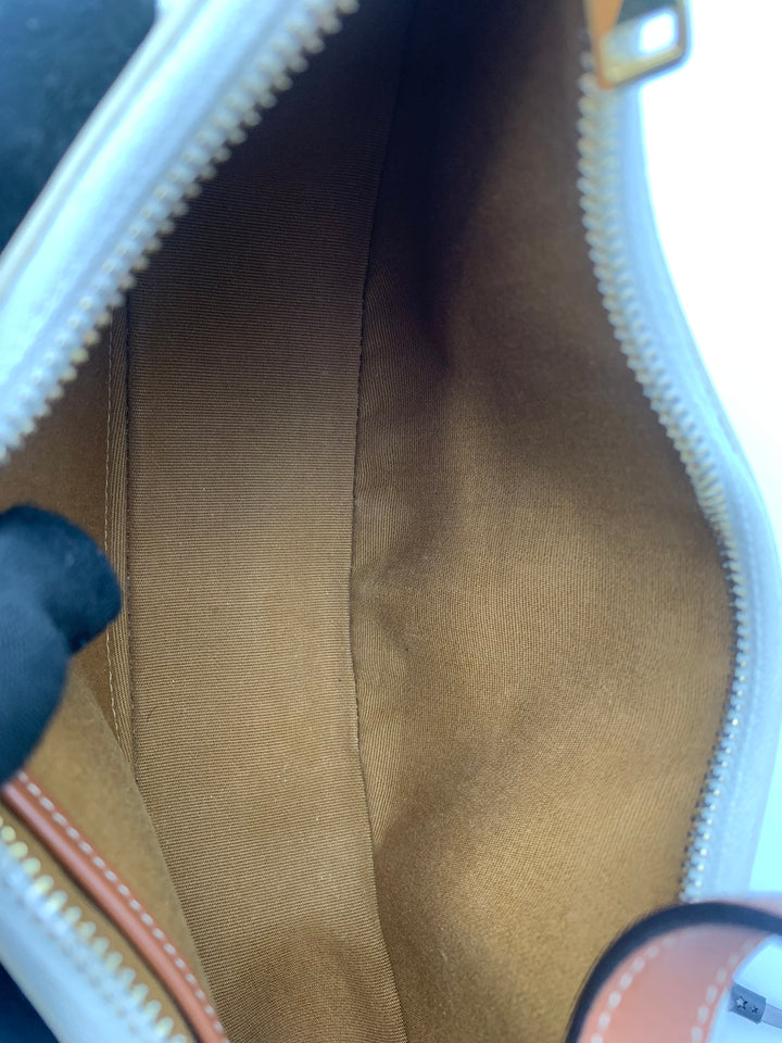 Celine Ava Bag in Triomphe Canvas