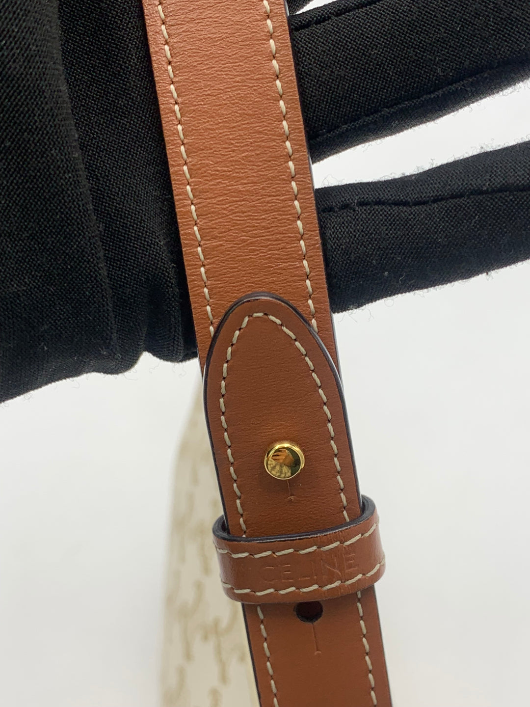 Celine Ava Bag in Triomphe Canvas