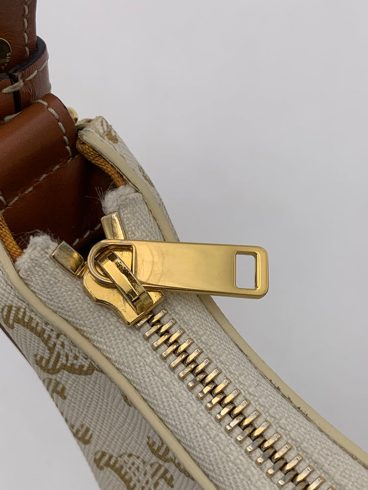 Celine Ava Bag in Triomphe Canvas