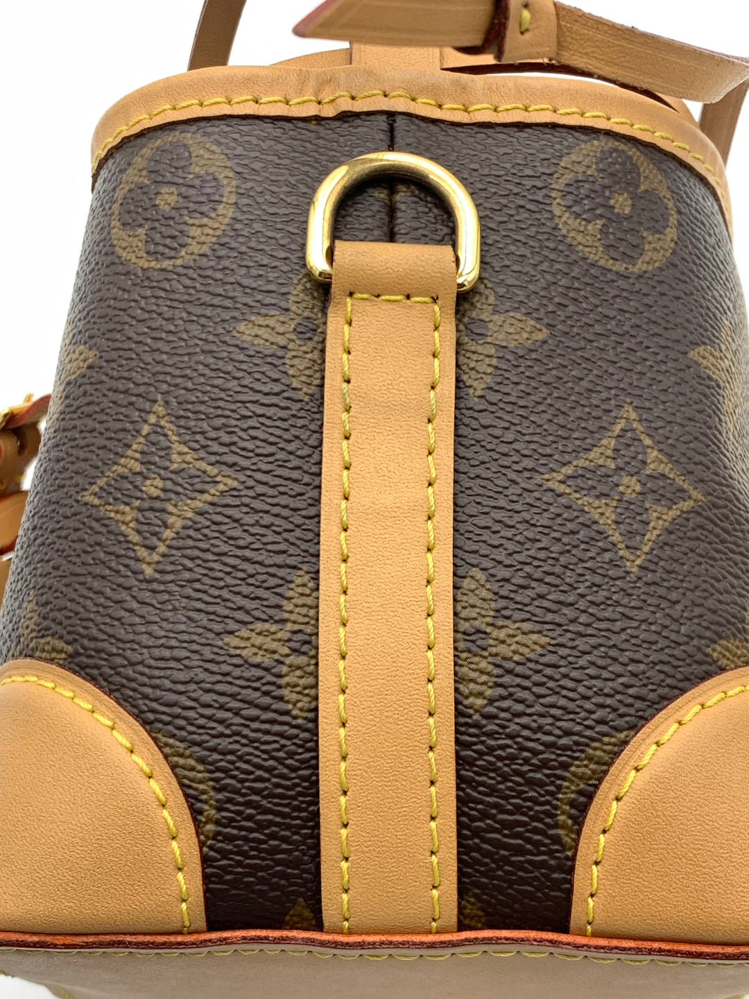 Louis Vuitton Monogram Noe Purse