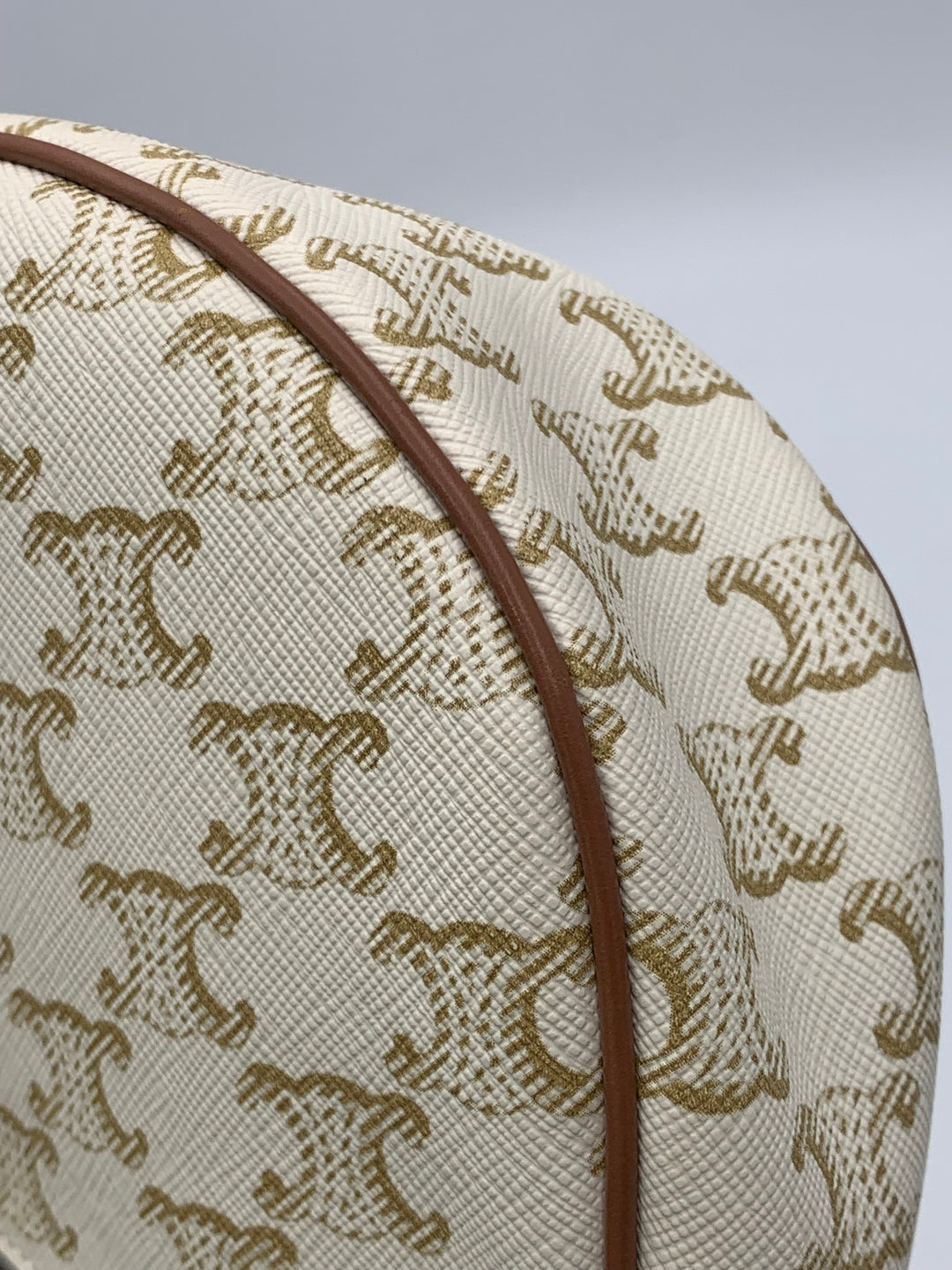 Celine Ava Bag in Triomphe Canvas